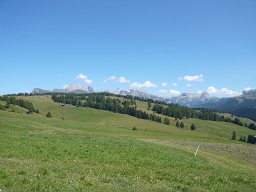 Image1020032.web.jpg