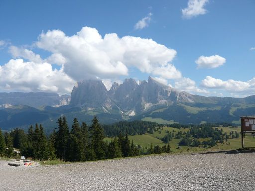 Image1020038.web.jpg