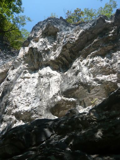 Image1020059.web.jpg