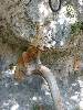 [thumbnail of Picture 39]