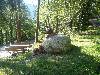 [thumbnail of Picture 40]