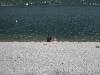 [thumbnail of Picture 55]
