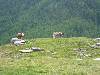 [thumbnail of Picture 68]