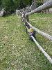 [thumbnail of Picture 76]