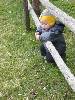 [thumbnail of Picture 77]