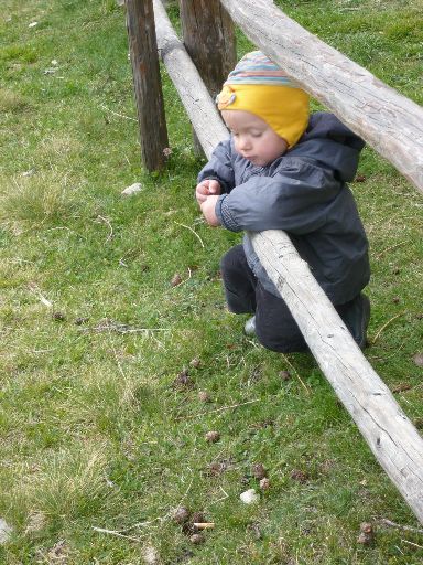 Image1020112.web.jpg