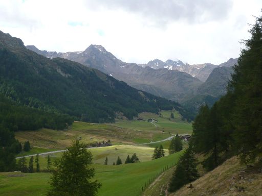 Image1020125.web.jpg