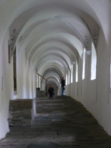 Image1020142.web.jpg