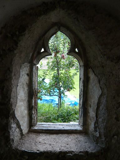 Image1020145.web.jpg