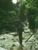 [thumbnail of Picture 34]