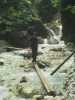 [thumbnail of Picture 35]