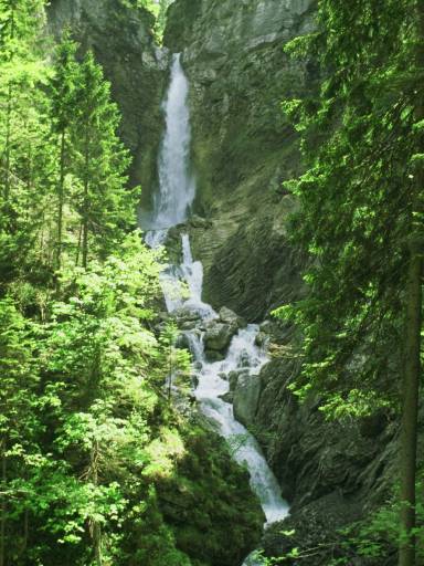 Image0038.web.jpg
