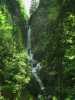 [thumbnail of Picture 3]
