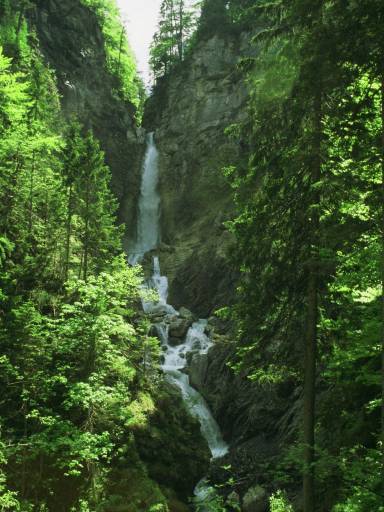 Image0039.web.jpg