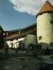 [thumbnail of Picture 5]