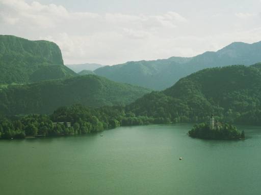 Image0042.web.jpg
