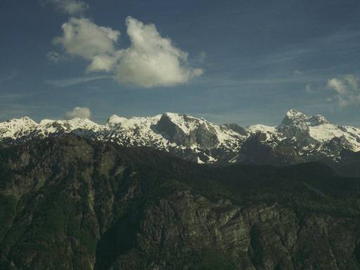 Image0047.web.jpg