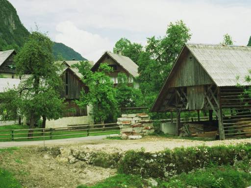 Image0058.web.jpg