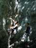 [thumbnail of Picture 1]