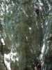 [thumbnail of Picture 5]