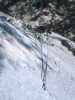 [thumbnail of Picture 6]