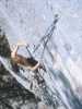 [thumbnail of Picture 8]