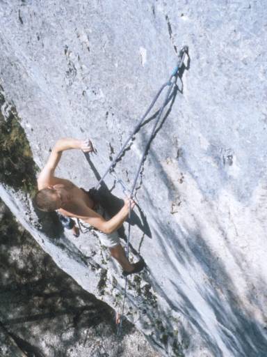 Image31.web.jpg