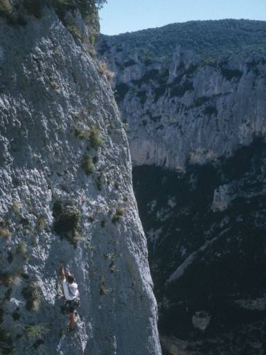Image0012.web.jpg