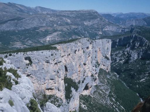 Image0019.web.jpg