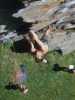 [thumbnail of Picture 12]