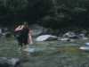 [thumbnail of Picture 2]