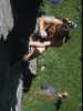 [thumbnail of Picture 20]
