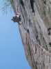 [thumbnail of Picture 28]