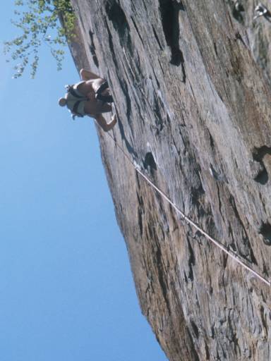Image28.web.jpg