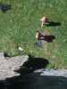 [thumbnail of Picture 3]