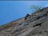 [thumbnail of Picture 30]