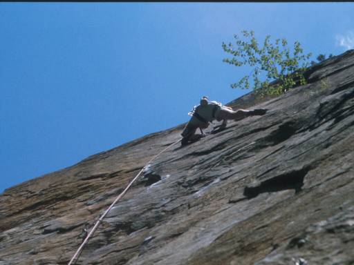 Image30.web.jpg