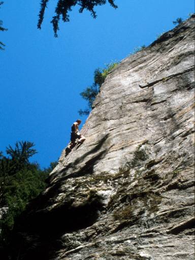 Image37.web.jpg