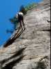 [thumbnail of Picture 38]