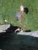 [thumbnail of Picture 4]