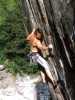 [thumbnail of Picture 50]