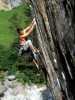 [thumbnail of Picture 52]