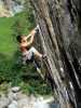 [thumbnail of Picture 53]