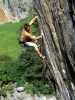[thumbnail of Picture 54]
