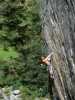[thumbnail of Picture 55]