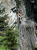 [thumbnail of Picture 60]