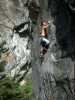 [thumbnail of Picture 61]