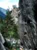 [thumbnail of Picture 63]
