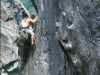 [thumbnail of Picture 64]