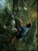 [thumbnail of Picture 71]